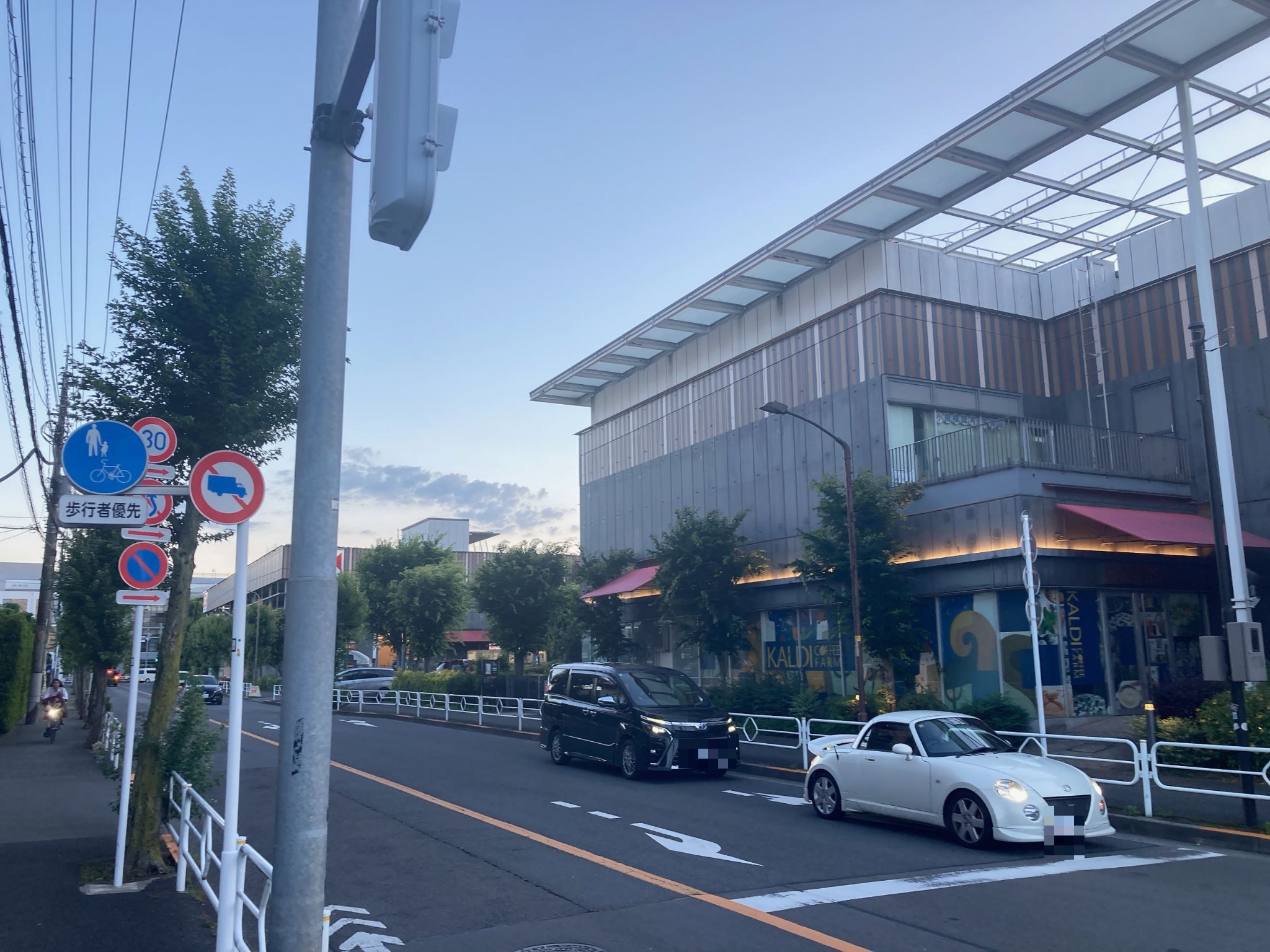 若葉ケヤキモール